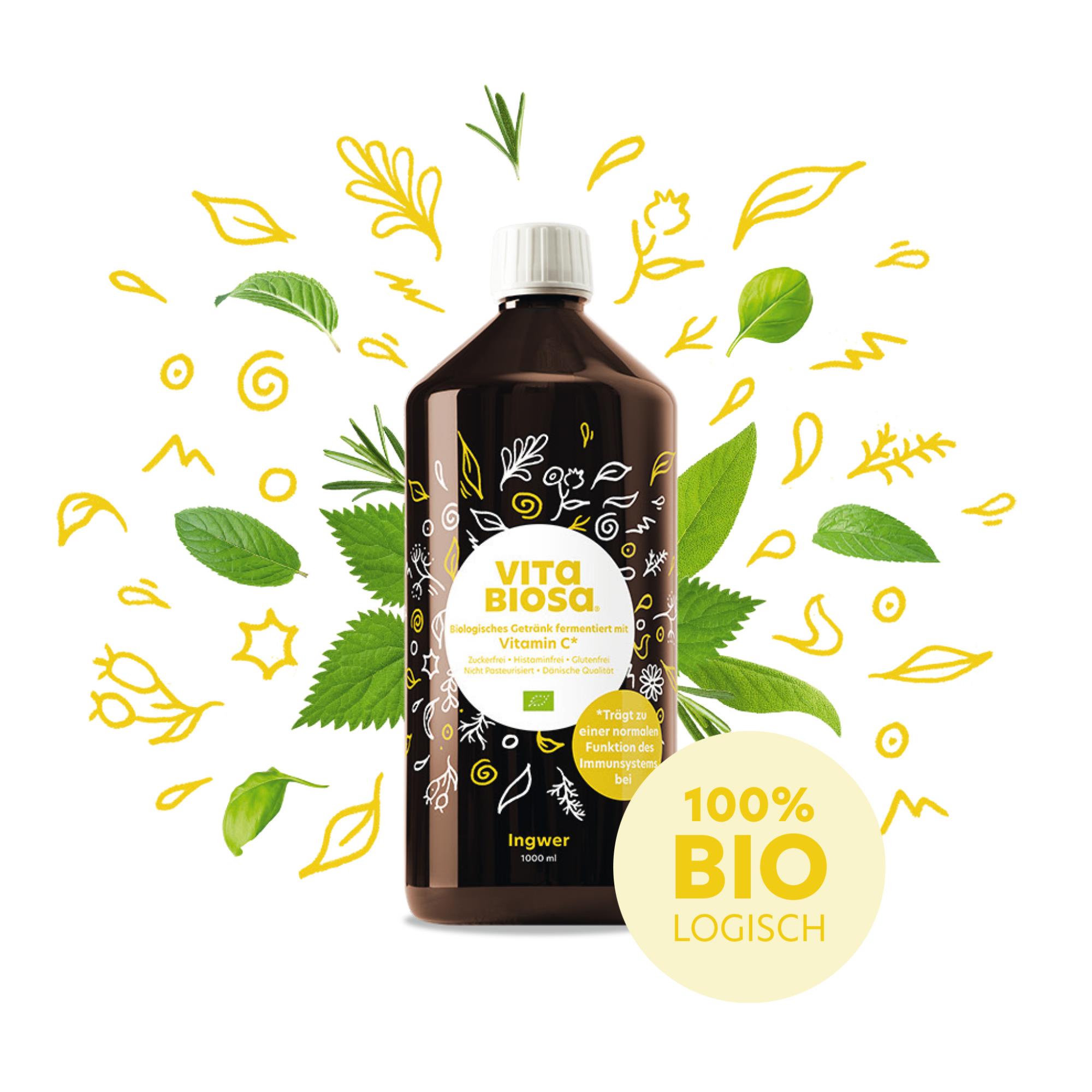 Vita Biosa Ingwer 1L Milchsaeurebakterien kaufen front